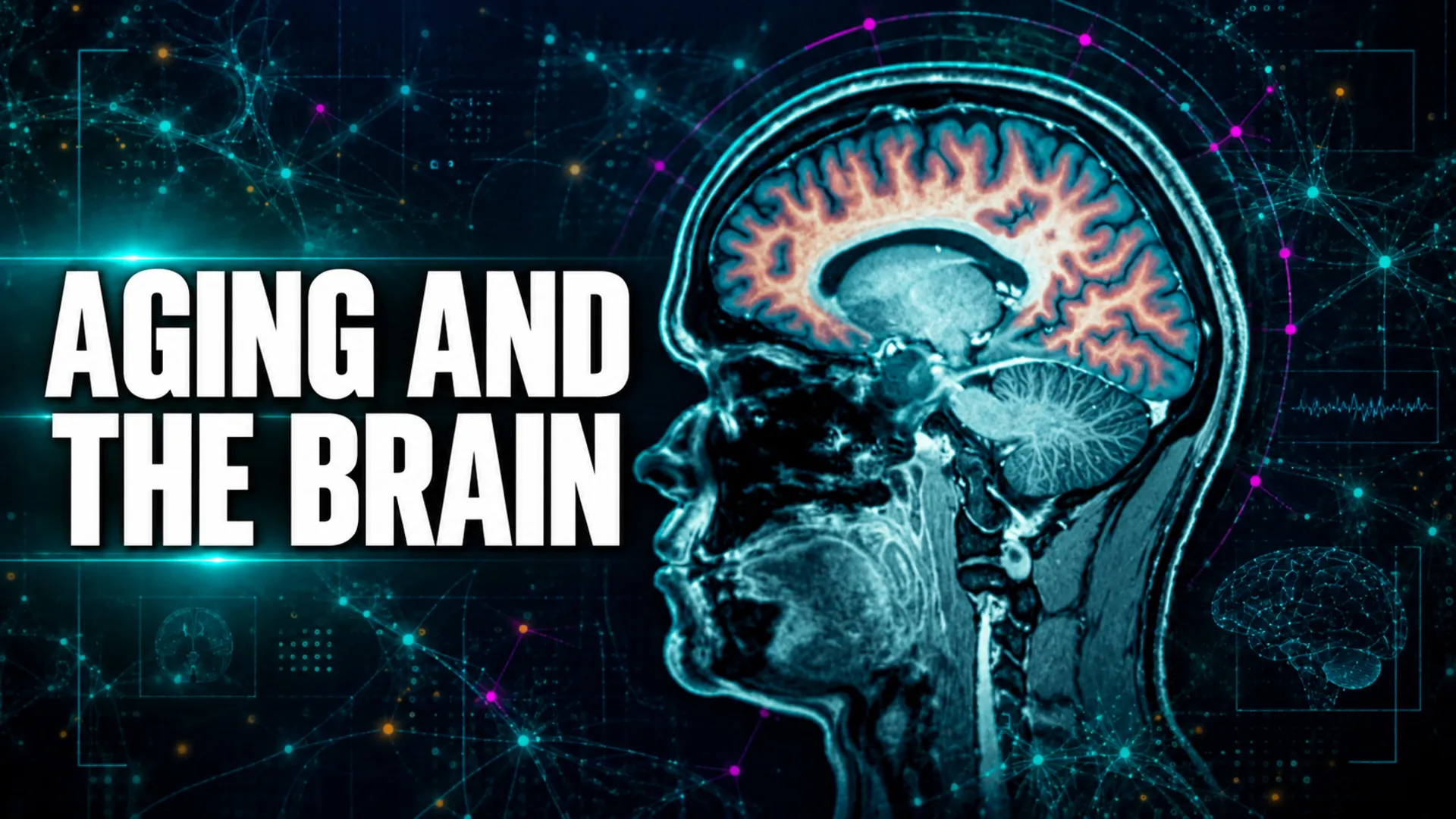 Aging and the Brain