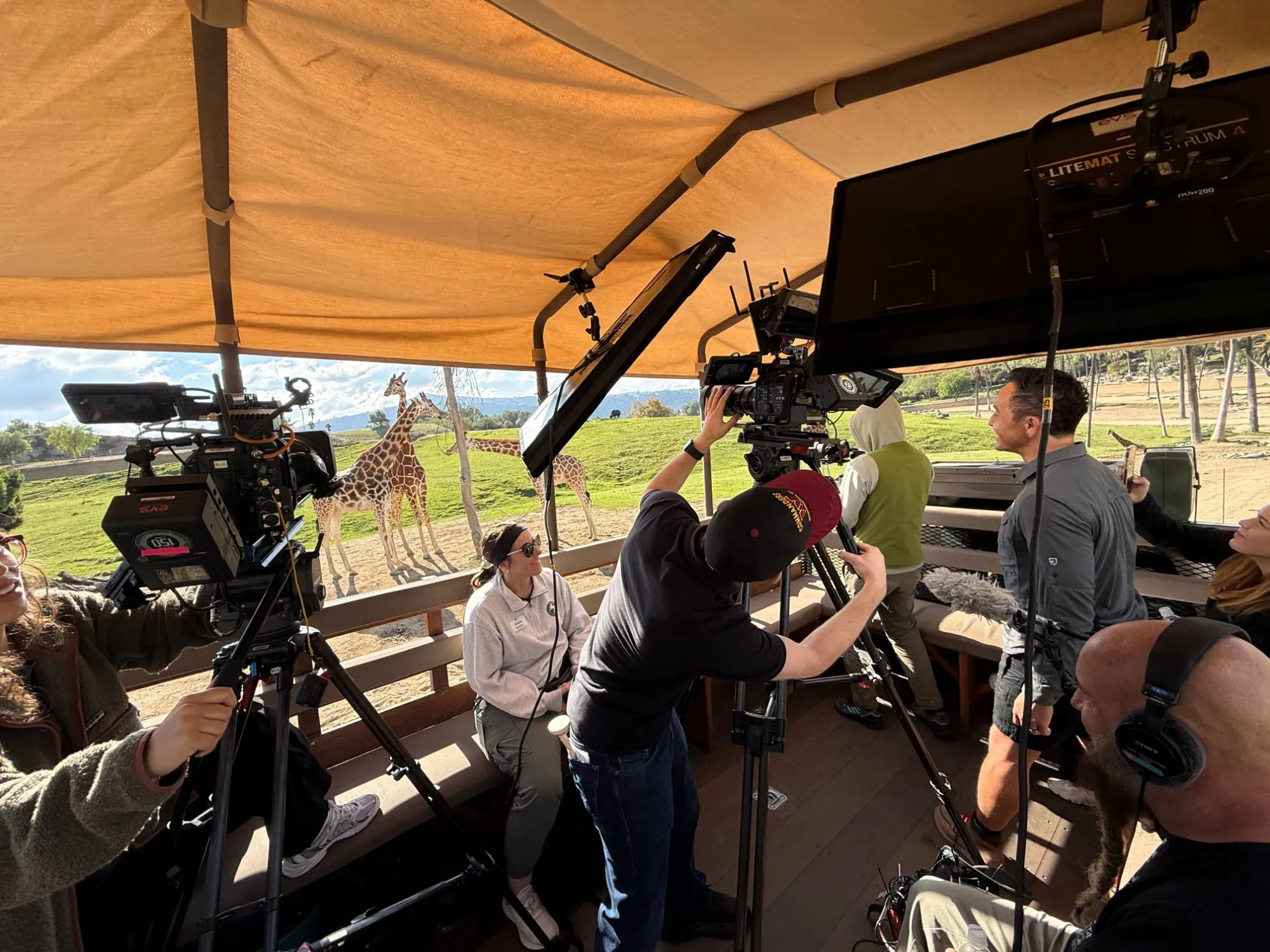 A two-camera crew on a safari truck at the San Diego Zoo Safari Park, with three giraffes in the field behind them